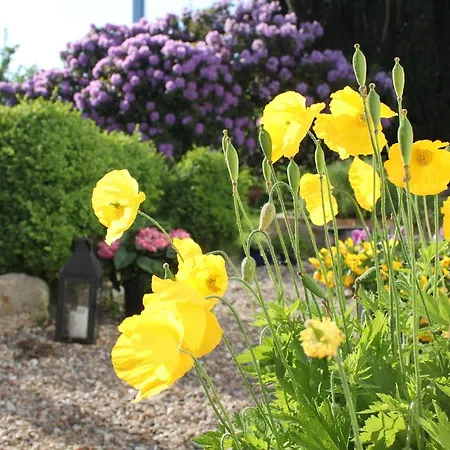 Bed and breakfast Skovlyst Jelling